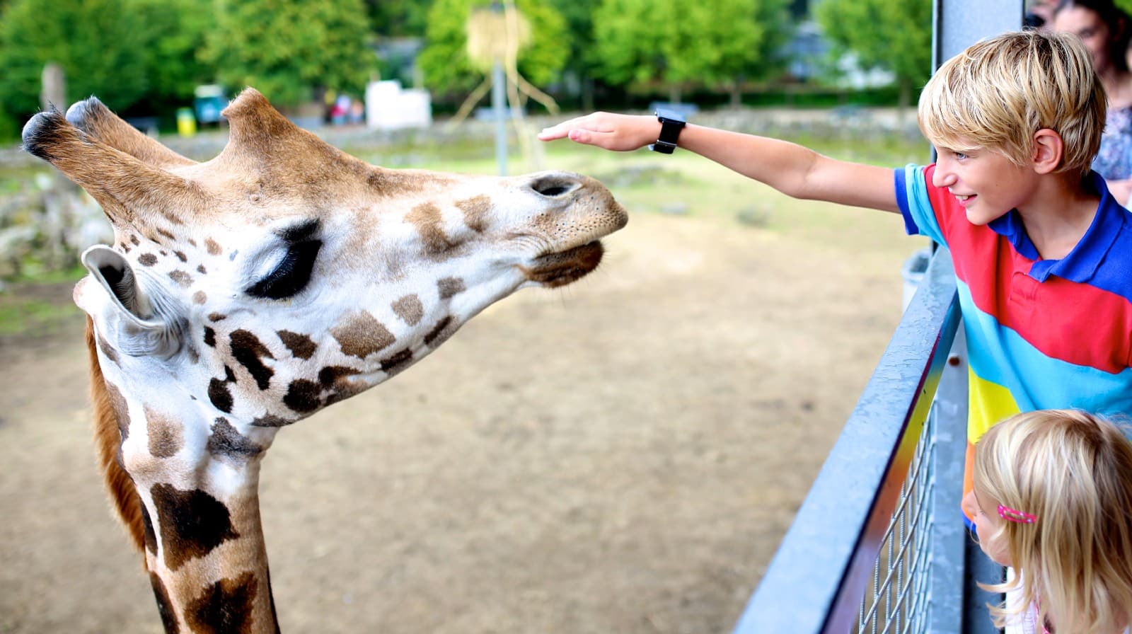 Parco Zoo Natura Viva